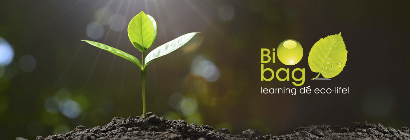 Why Biodegradable